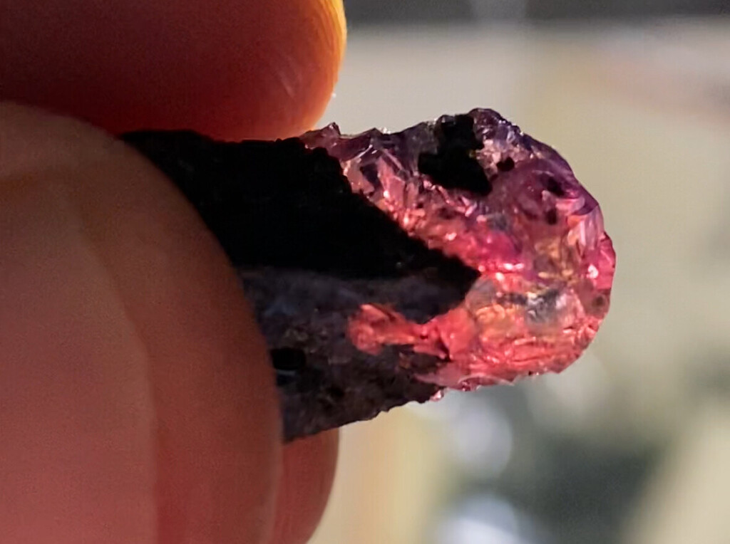 Identification of Tanzanian multicolored rough stone Ruby