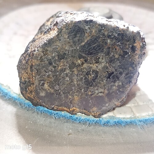 IMG_20260118_052142283_MFNR