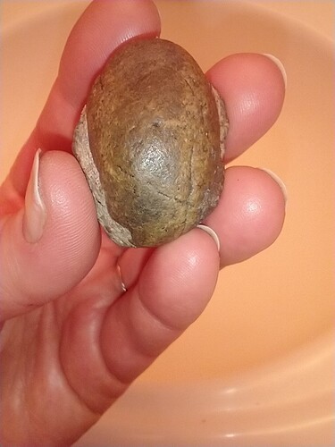 fossilized egg perhaps image 1