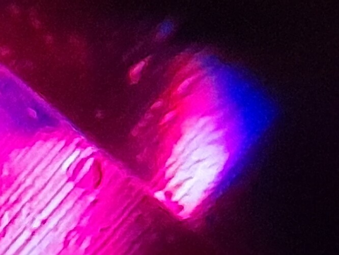20250325_103441