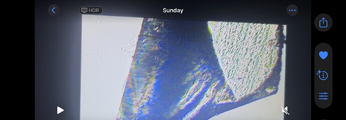 IMG_2546