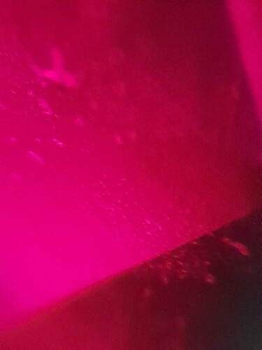 20250331_152849