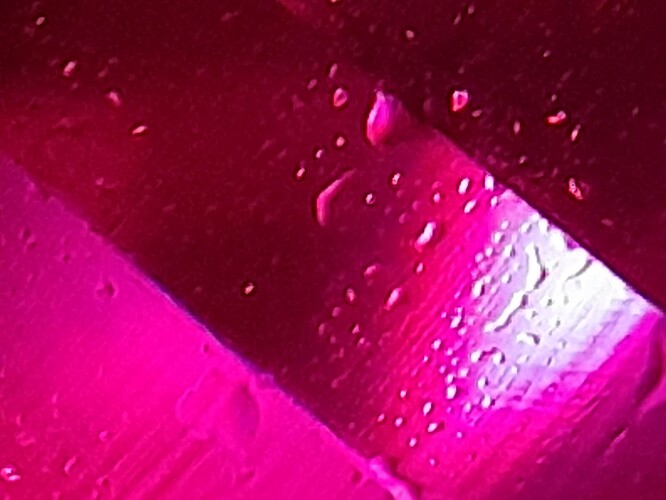 20250325_103404
