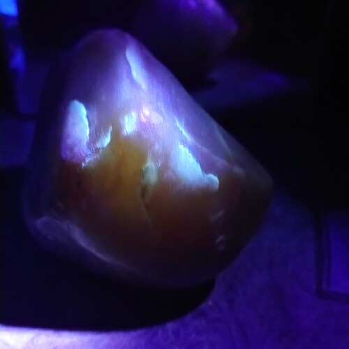 IMG_20250530_023459366_NV