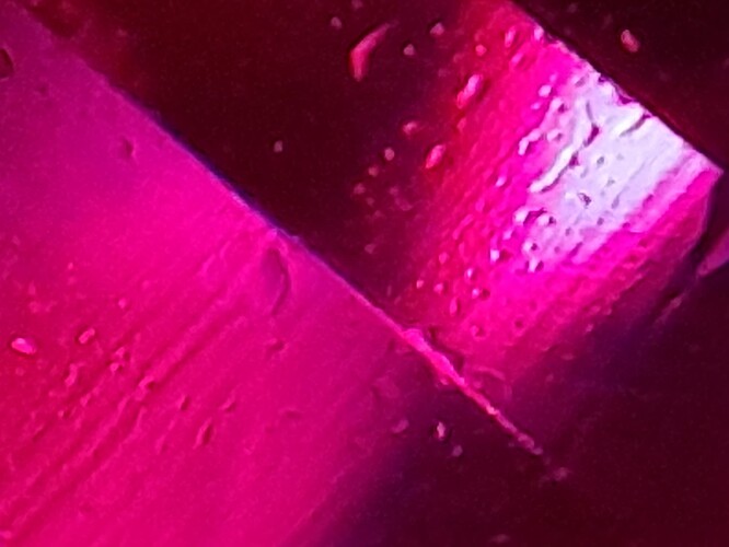 20250325_103426
