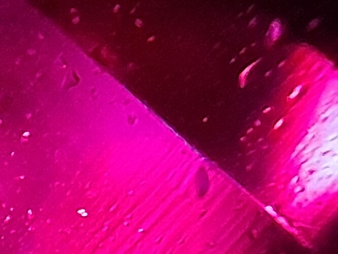 20250325_103358