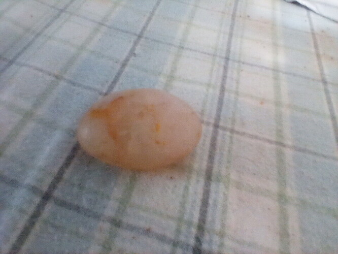 17238367403999216848722280145593